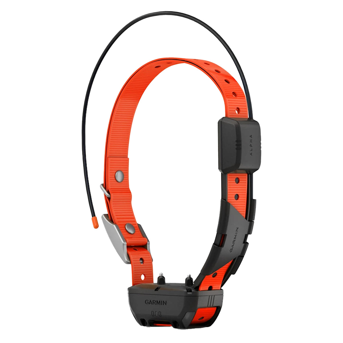 Garmin Alpha TT25 Collar