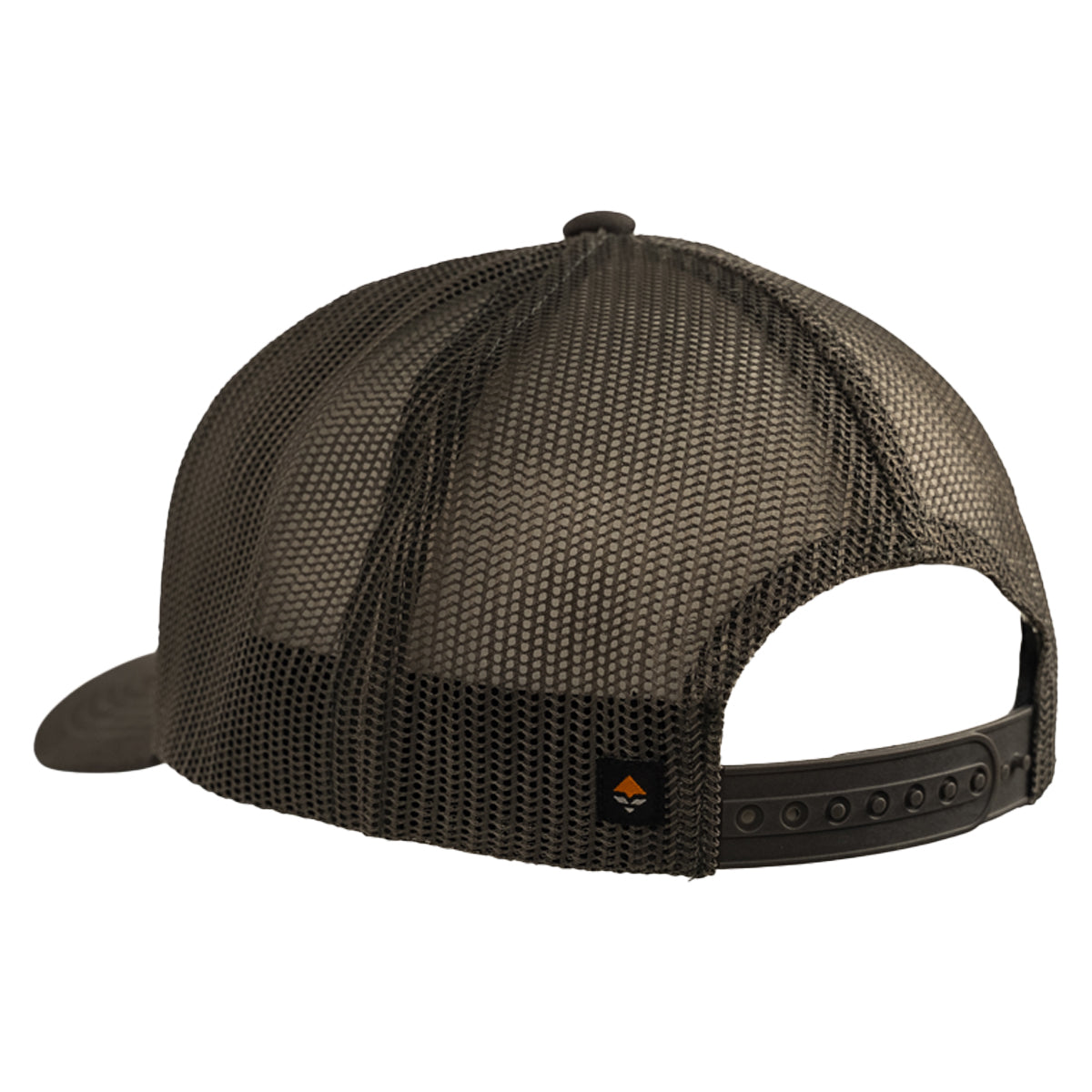 Cinder Gray