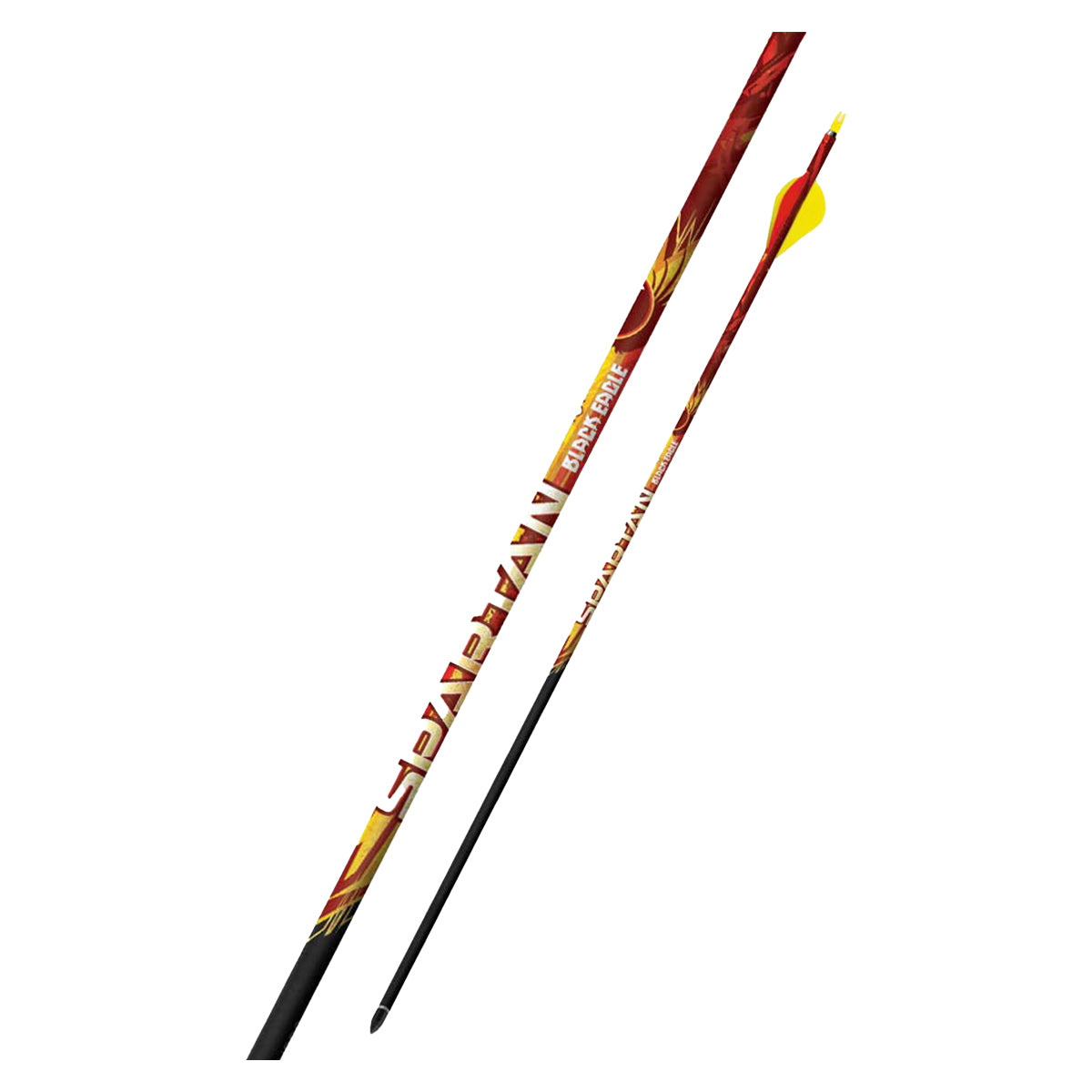 Black Eagle Spartan Pre-Fletched Arrows - 6 Count