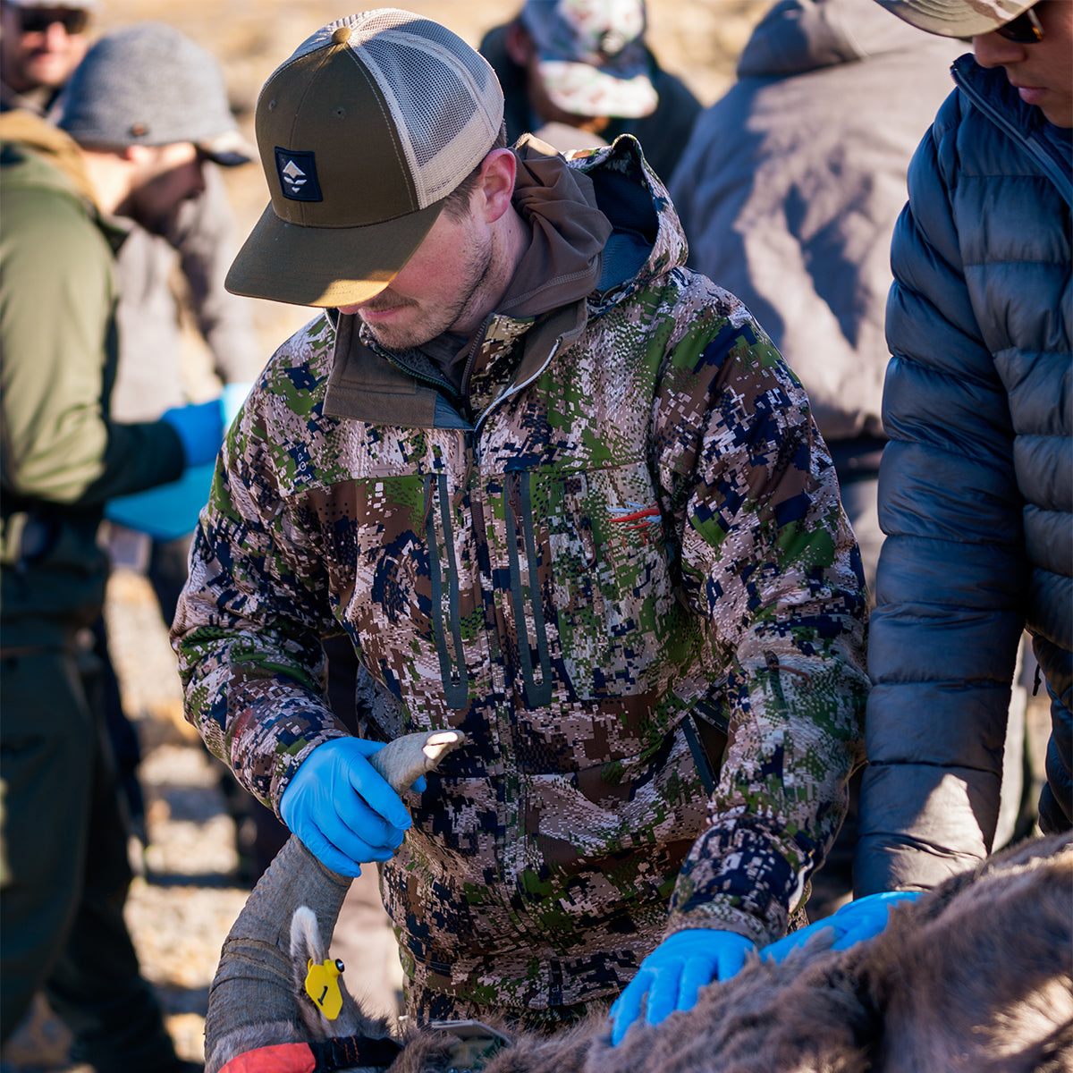 Olive & Rugged Hazel