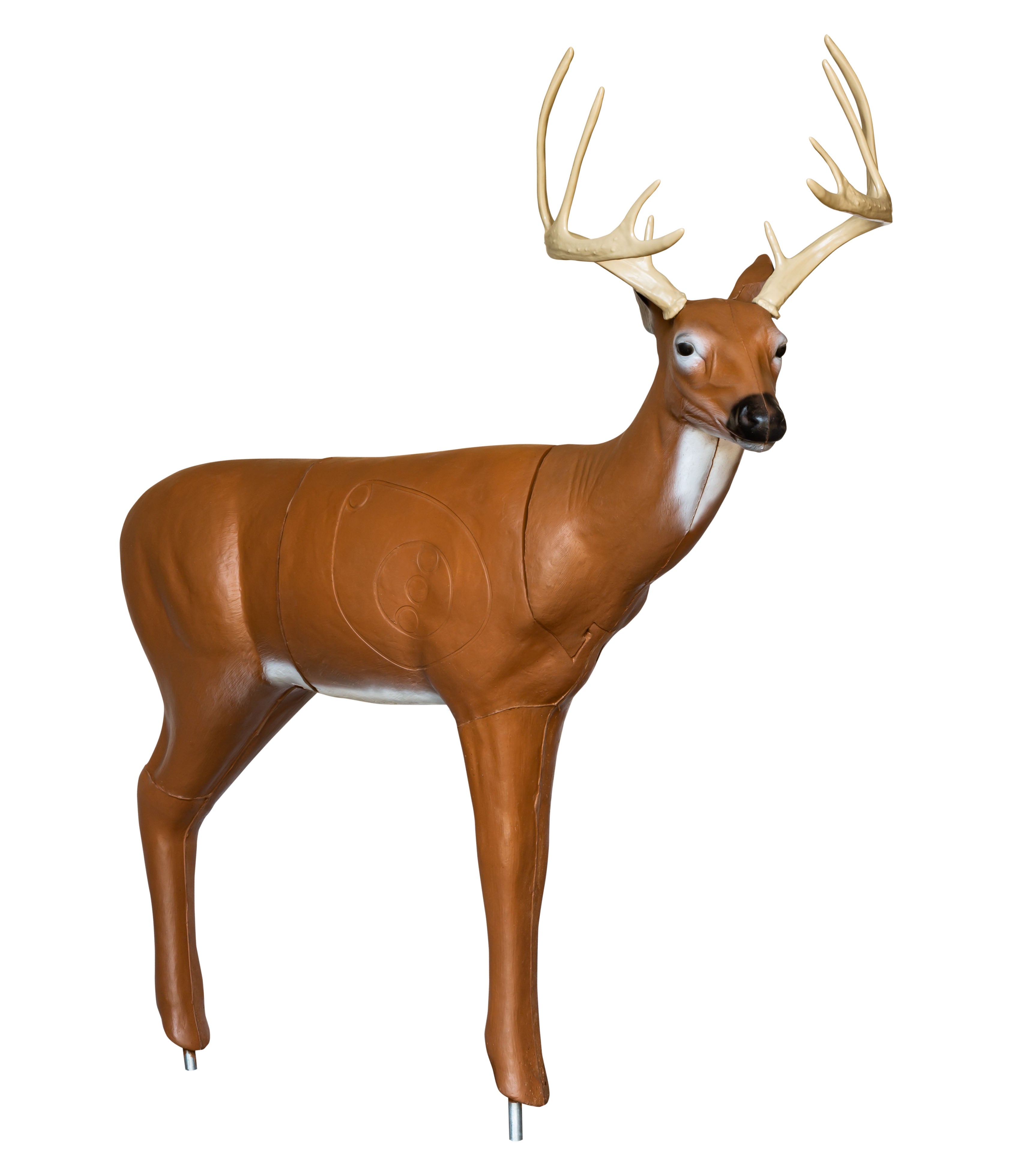 BIGshot Archery Real Wild 3D Sneak Deer Archery Target | Shop at