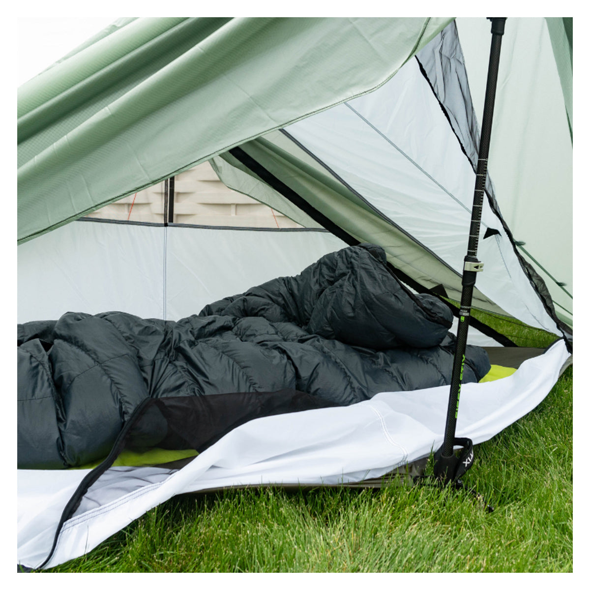 Seek Outside Silex Nest