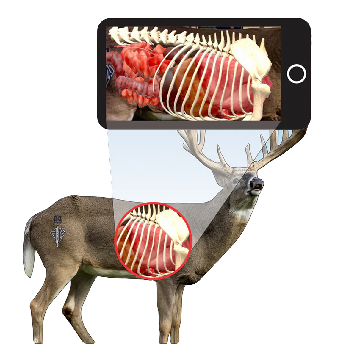 QuivAR Enabled (iOS Only)