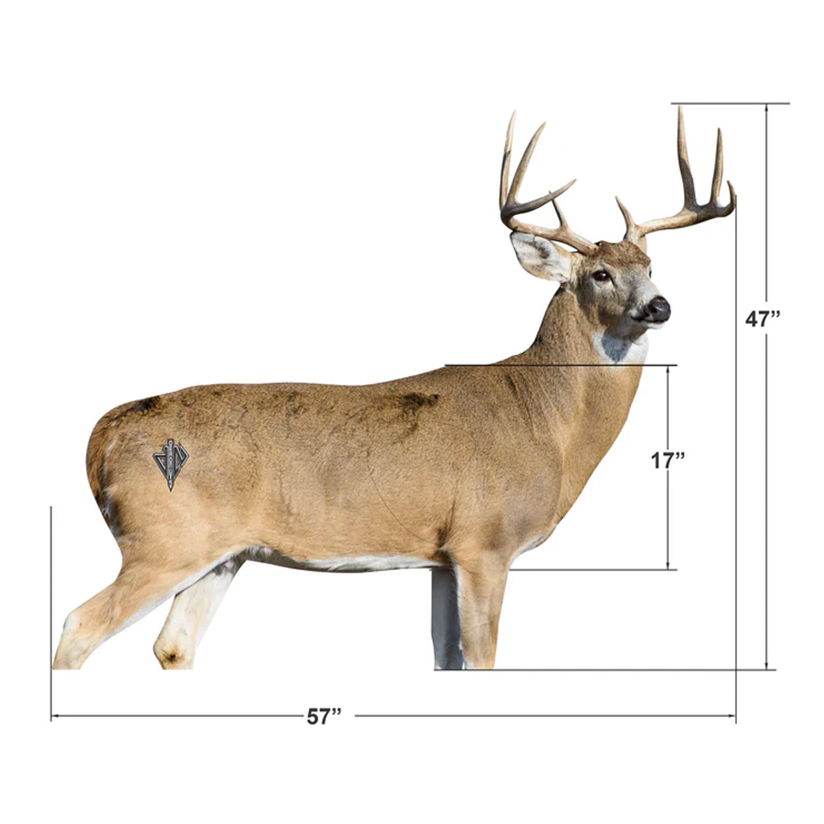 Deadnuts Outdoors 2D Whitetail "Willy" Broadside Target