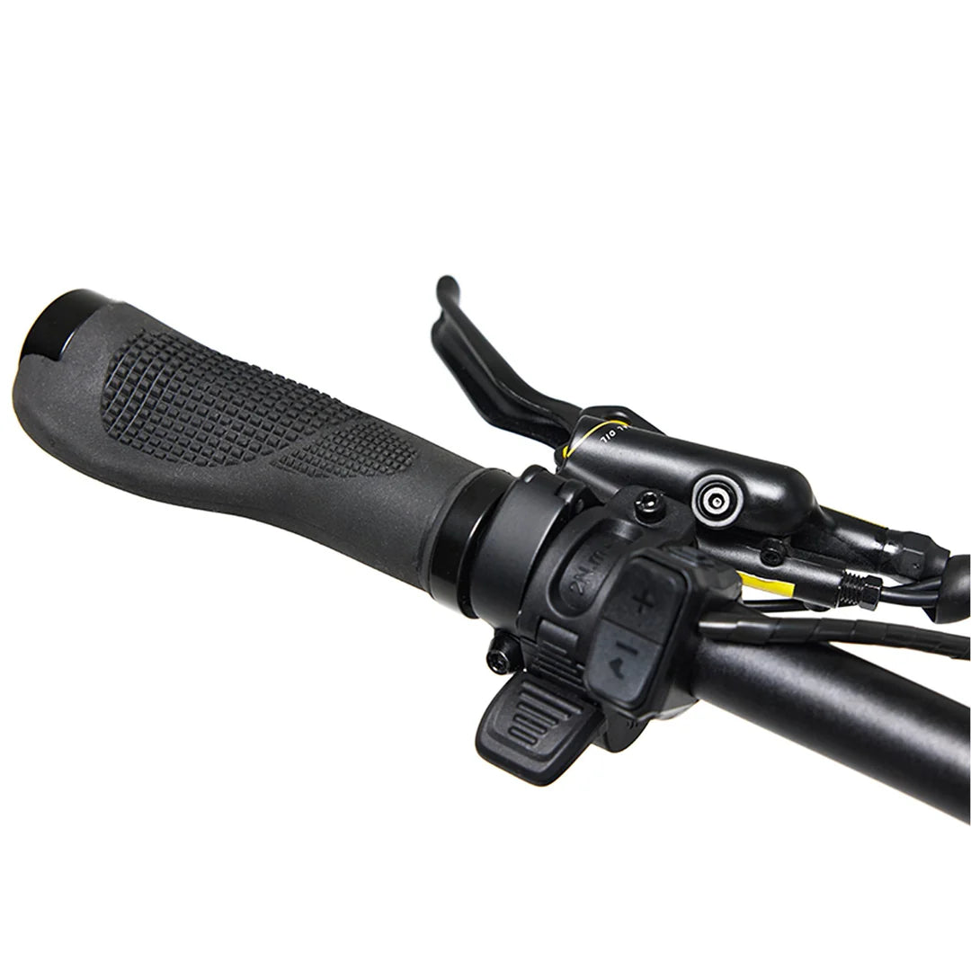 Bakcou Mule SD 26 eBike