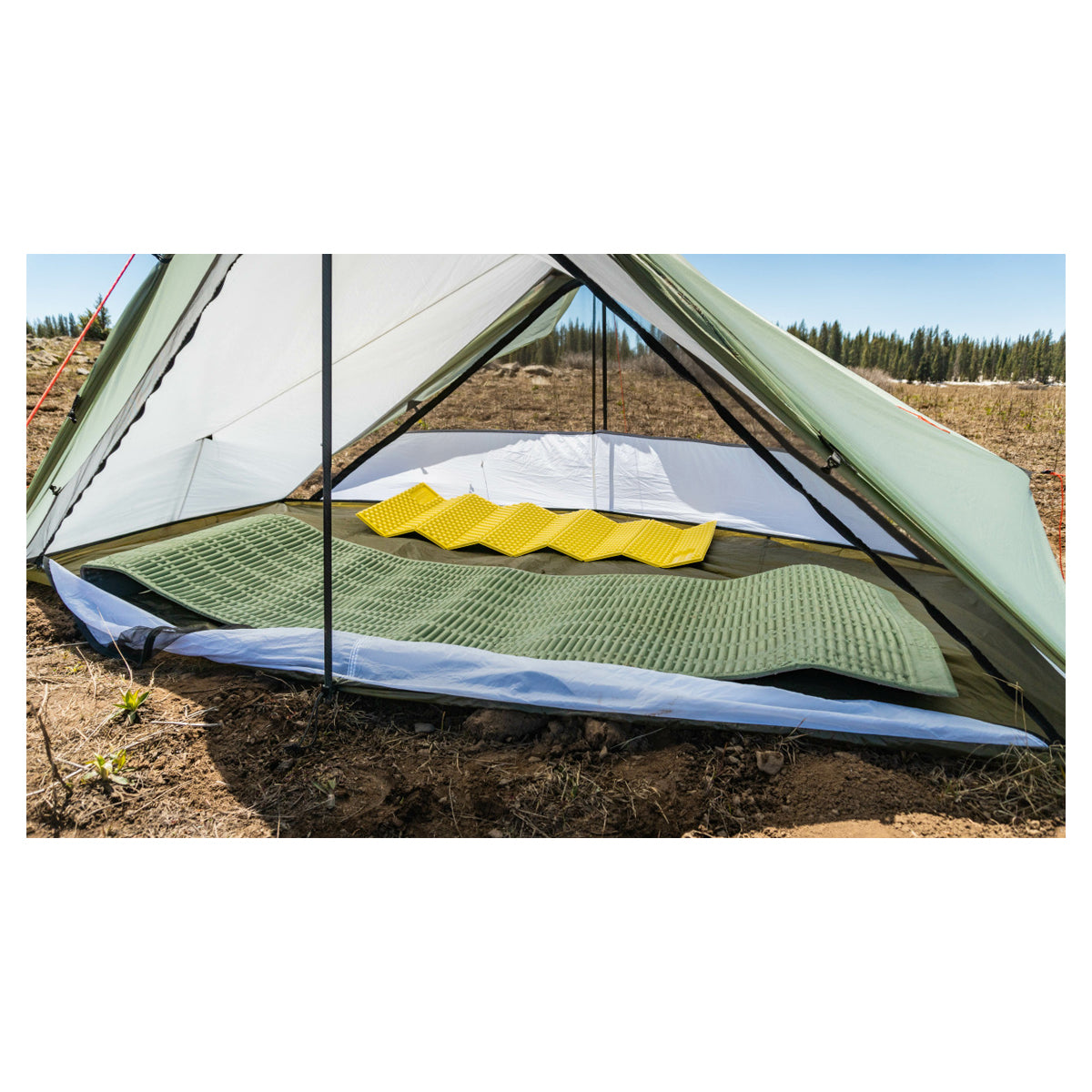 Seek Outside Guardian Nest