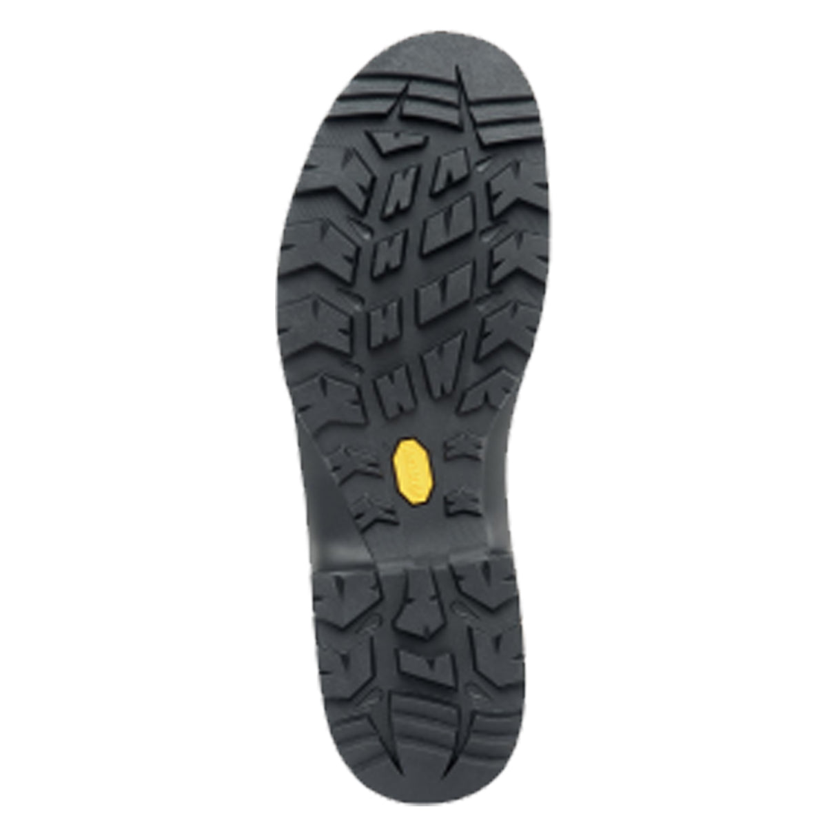 Zamberlan 1005 Hunter Pro Evo GTX RR WL