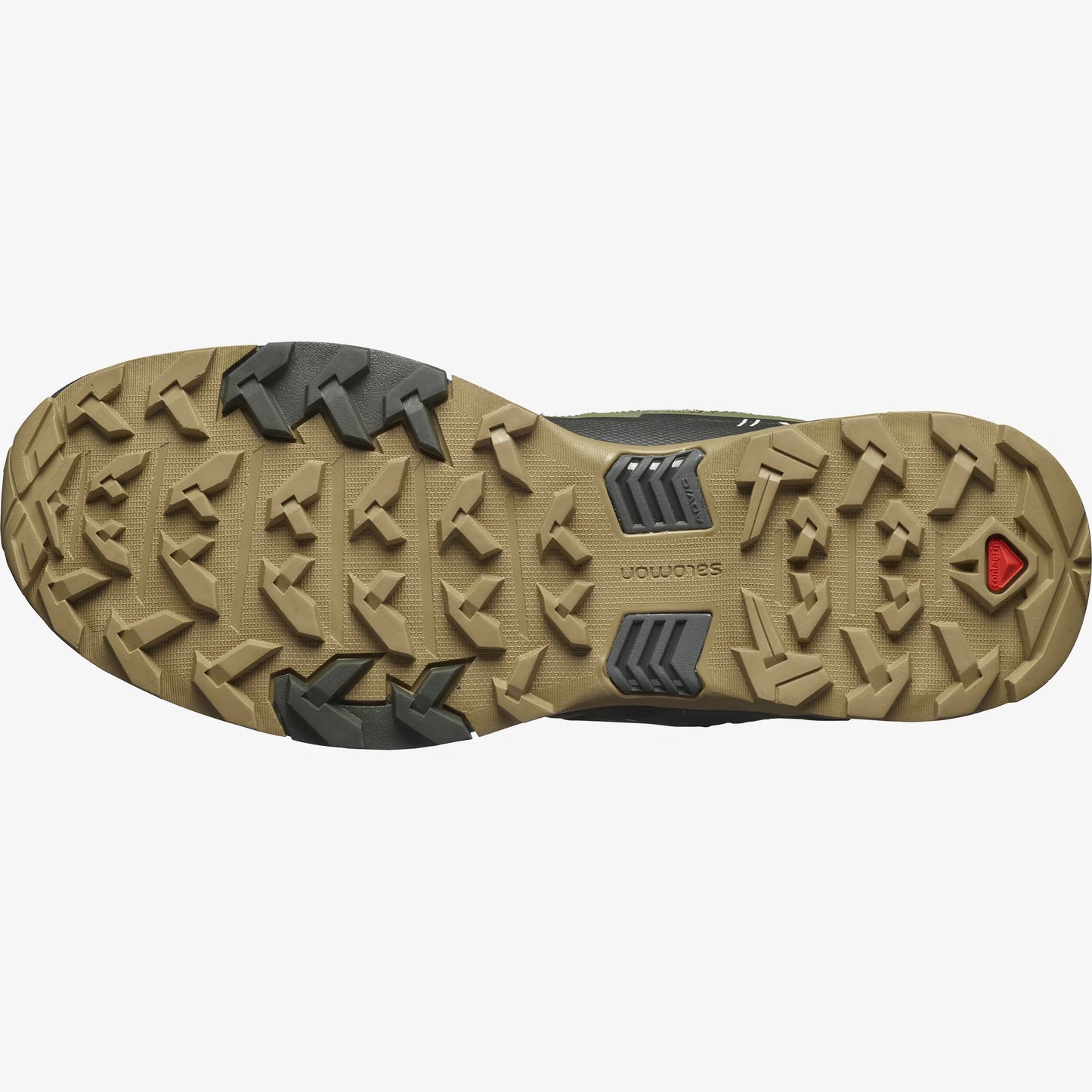 Deep Lichen / Peat / Kelp