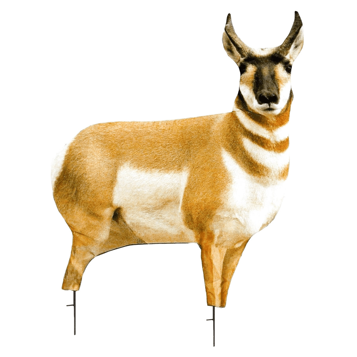 Montana Decoy Antelope Buck Decoy by Montana Decoy Co. | Gear - goHUNT Shop