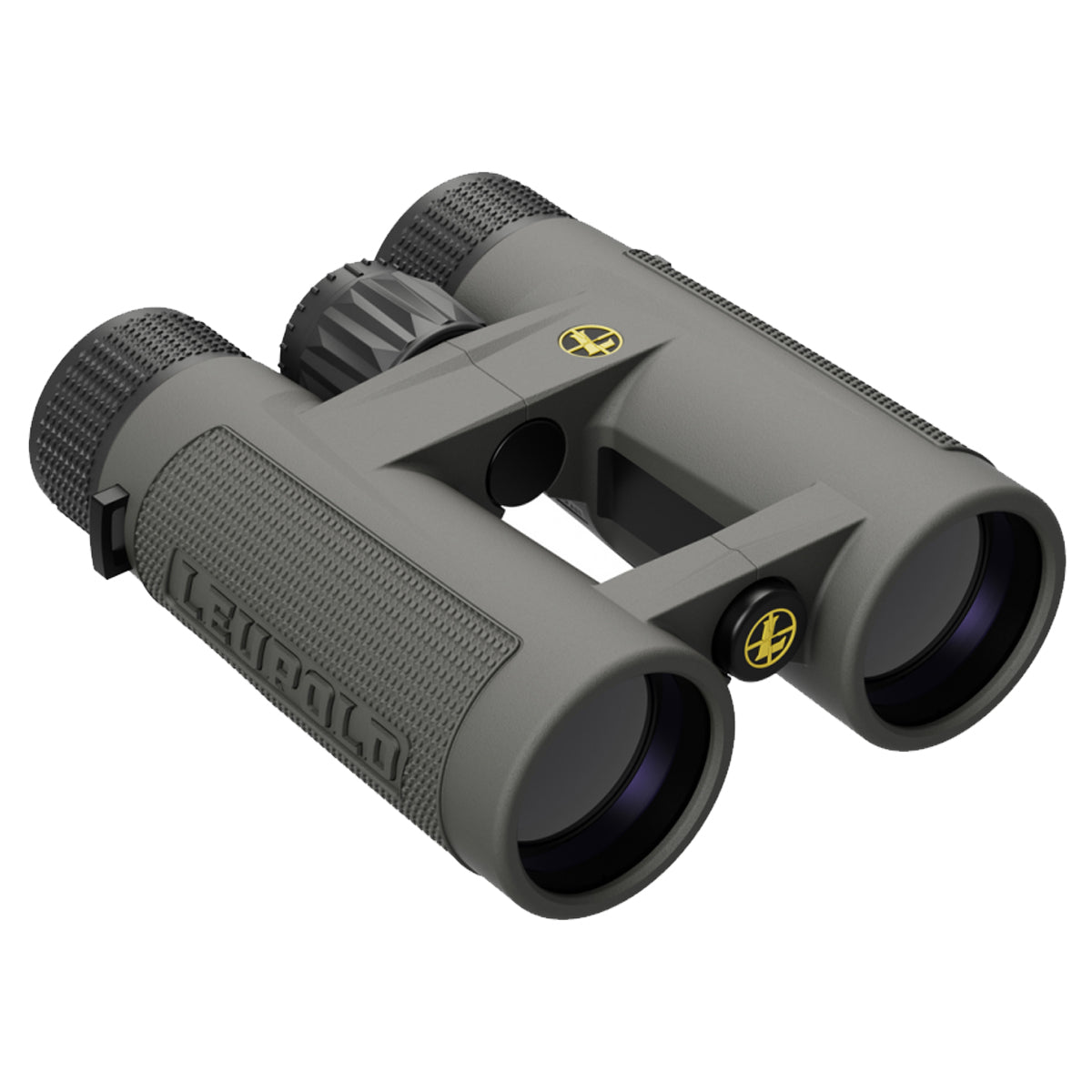 Leupold 10x42 BX-4 Pro Guide