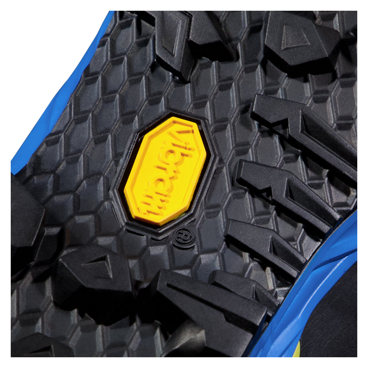 Gentian & Dark Titanium