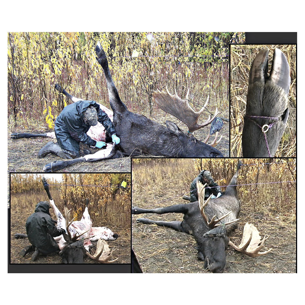 Caribou Gear The Hanger by Caribou Gear | Gear - goHUNT Shop