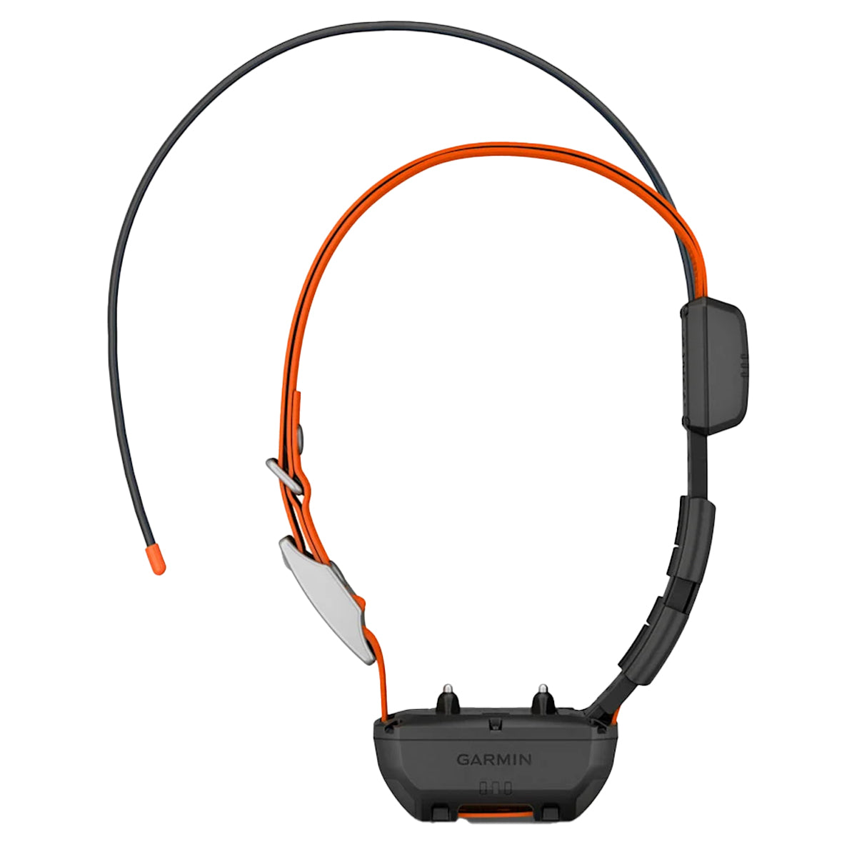 Garmin Alpha TT25 Collar in  by GOHUNT | Garmin - GOHUNT Shop