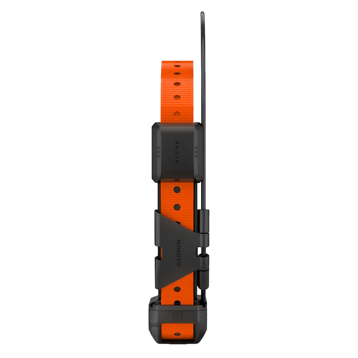 Garmin Alpha TT25 Collar in  by GOHUNT | Garmin - GOHUNT Shop