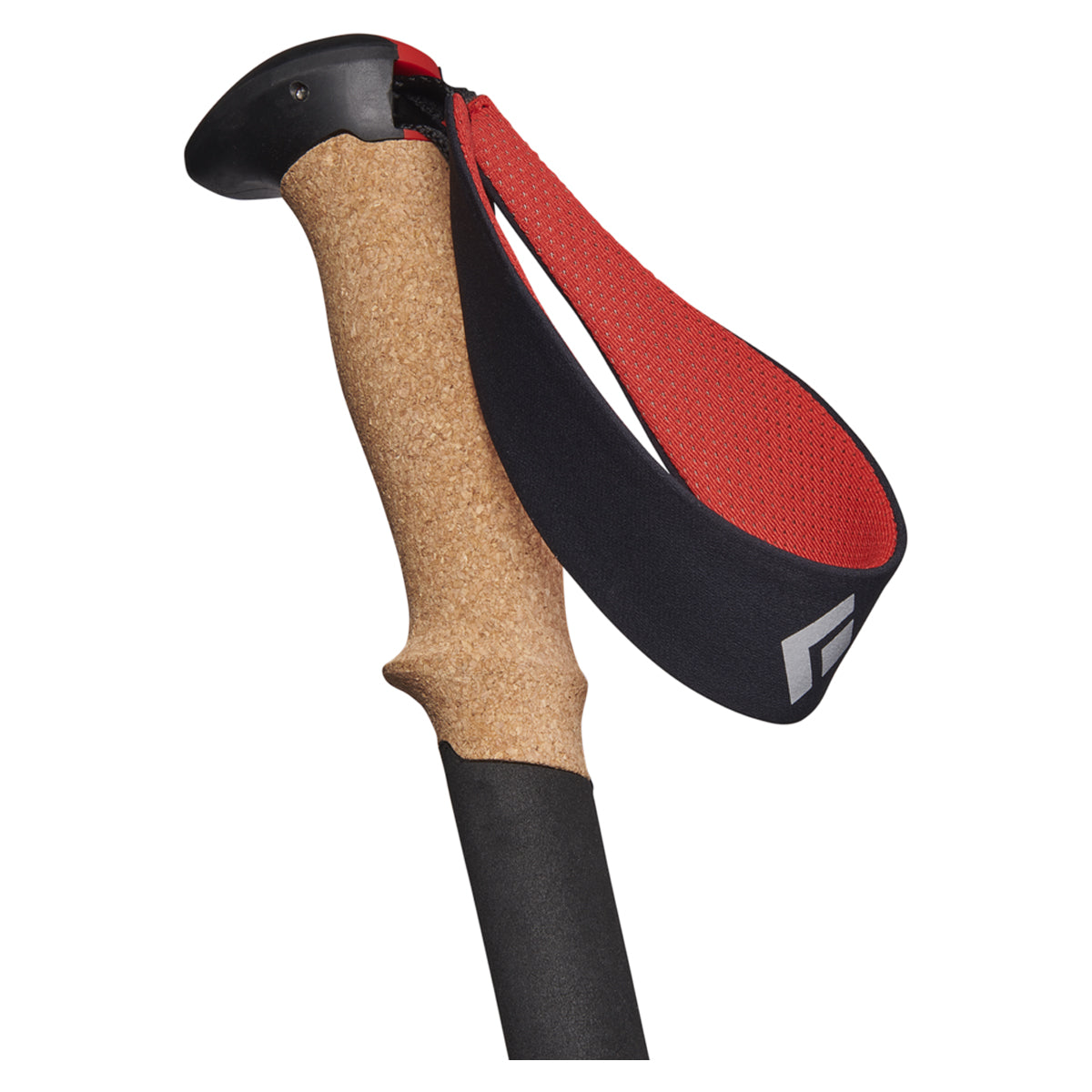 Da Pollice Nero A Pollice Verde: Metti Alla Prova Le Tue Abilità Di - Foto 5