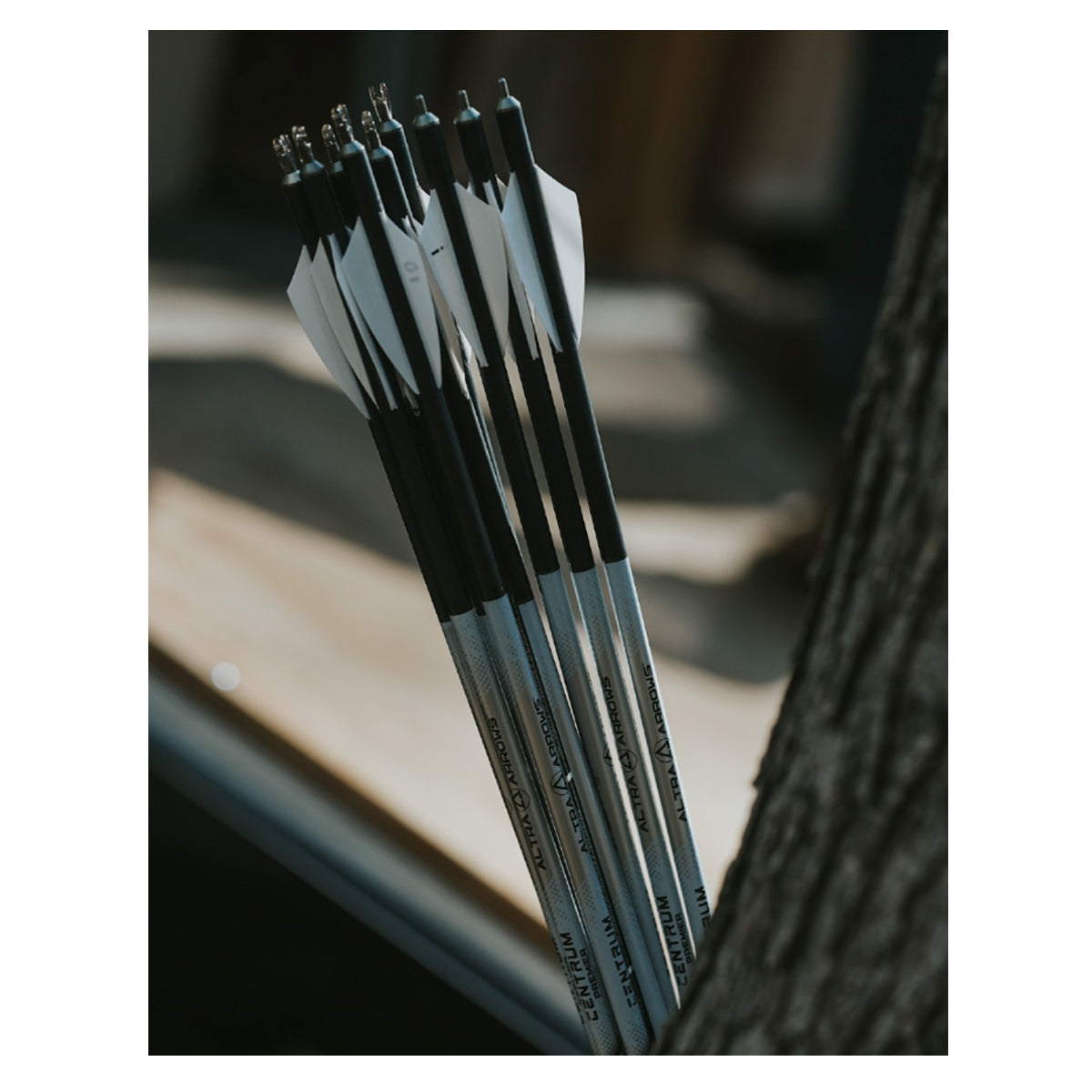 Altra Arrows Centrum Limited 204 Arrow Shafts - 12 Count in  by GOHUNT | Altra Arrows - GOHUNT Shop