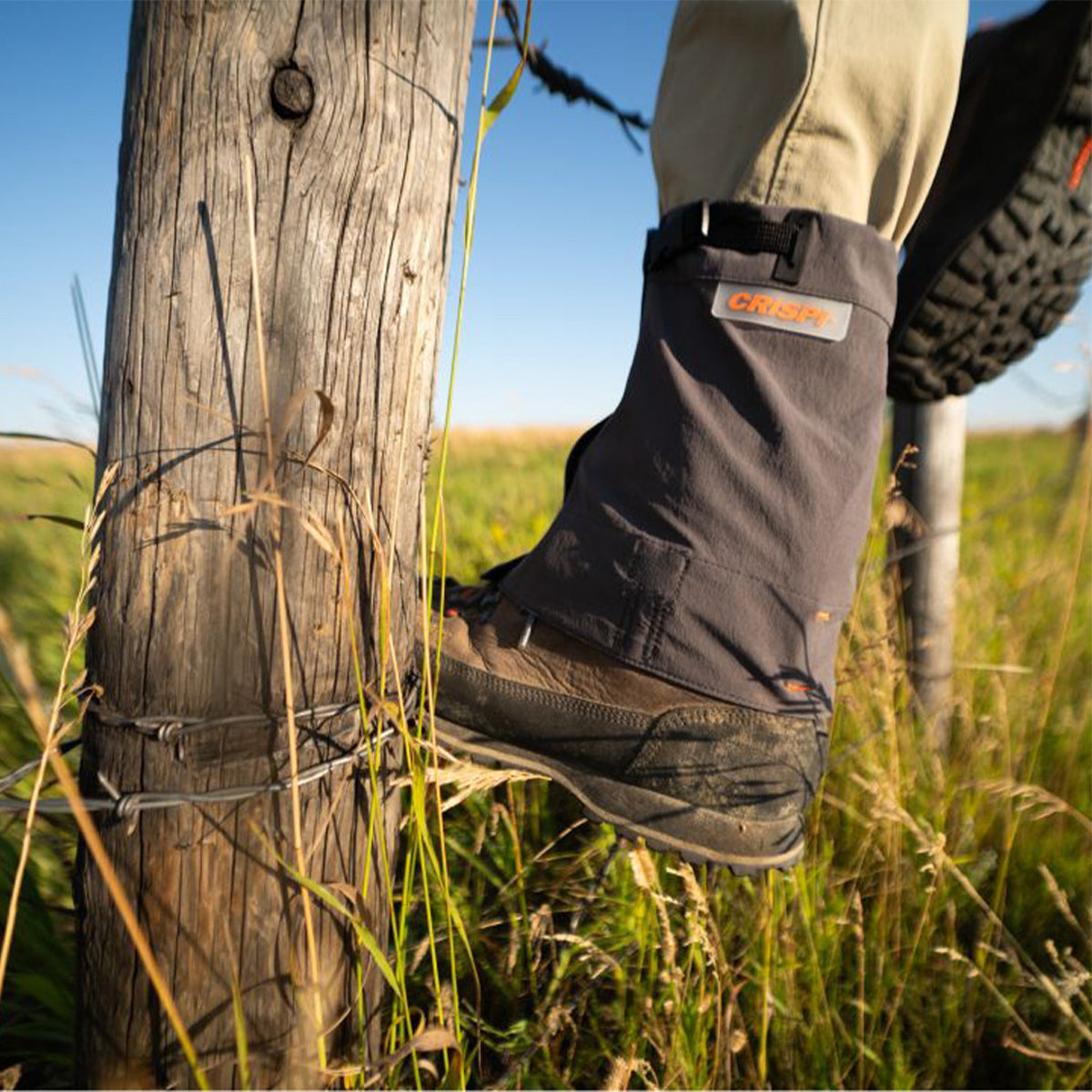 Crispi Corto Gaiter in  by GOHUNT | Crispi - GOHUNT Shop