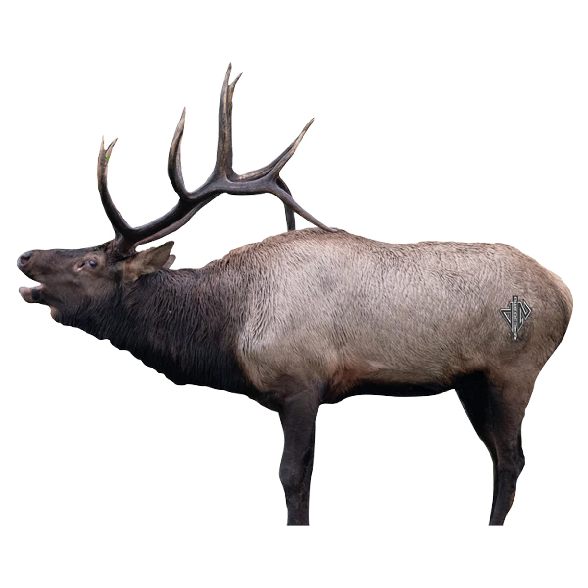 Deadnuts Outdoors 2D Bull Elk Broadside Target in Standard Series by GOHUNT | Deadnuts Outdoors - GOHUNT Shop