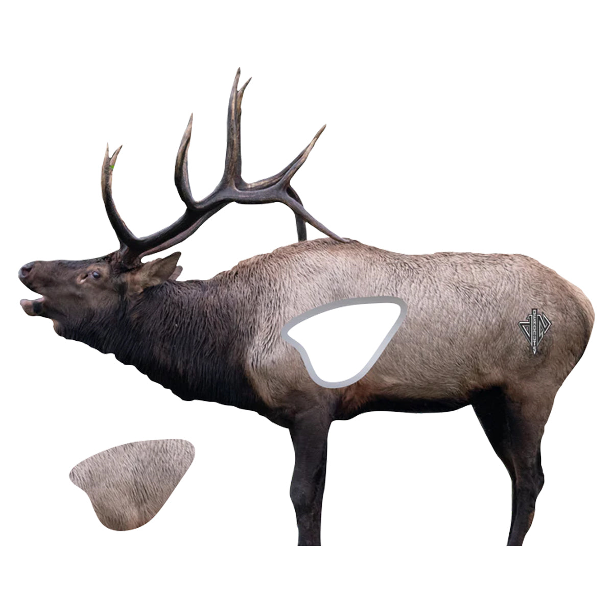 Deadnuts Outdoors 2D Bull Elk Broadside Target