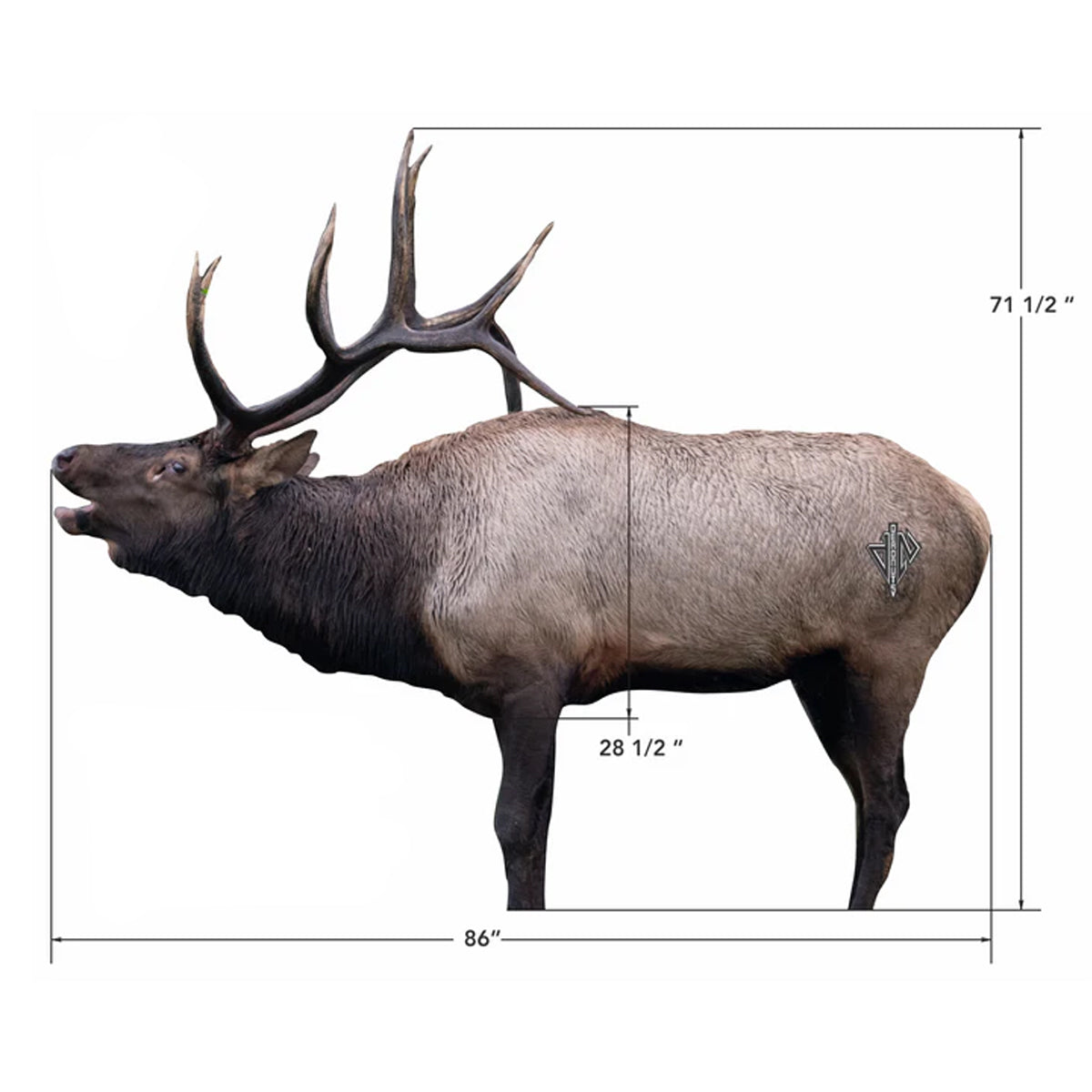 Deadnuts Outdoors 2D Bull Elk Broadside Target in  by GOHUNT | Deadnuts Outdoors - GOHUNT Shop