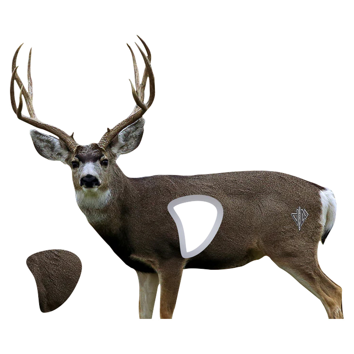 Deadnuts Outdoors 2D Mule Deer Broadside Target