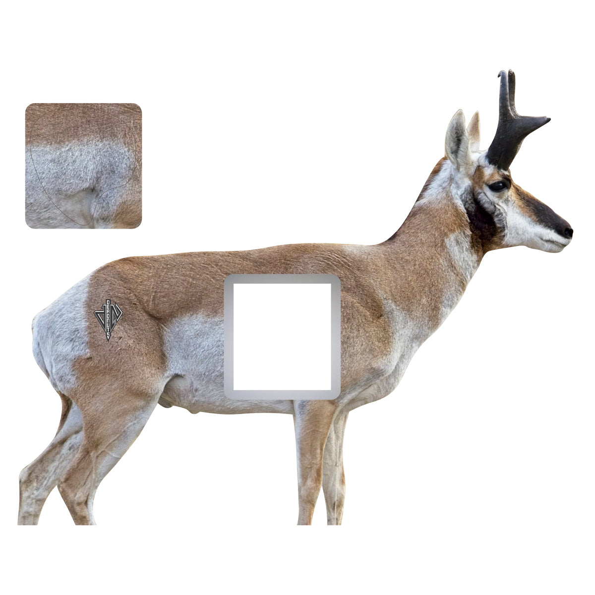 Deadnuts Outdoors 2D Pronghorn Buck Broadside Target in  by GOHUNT | Deadnuts Outdoors - GOHUNT Shop