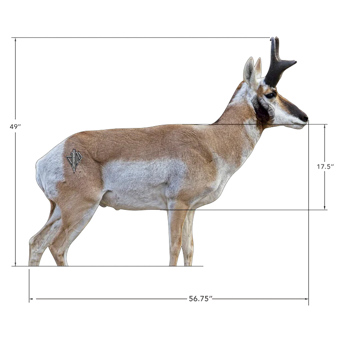 Deadnuts Outdoors 2D Pronghorn Buck Broadside Target in  by GOHUNT | Deadnuts Outdoors - GOHUNT Shop