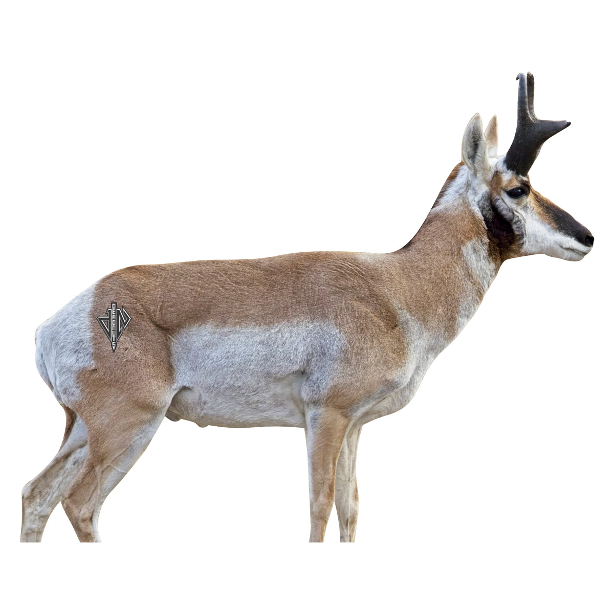 Deadnuts Outdoors 2D Pronghorn Buck Broadside Target