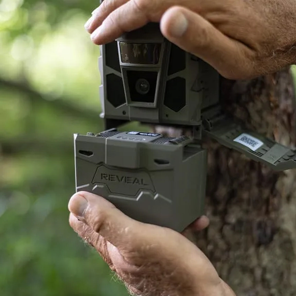 Tactacam Reveal X 4.0 Cellular Trail Camera in  by GOHUNT | Tactacam - GOHUNT Shop