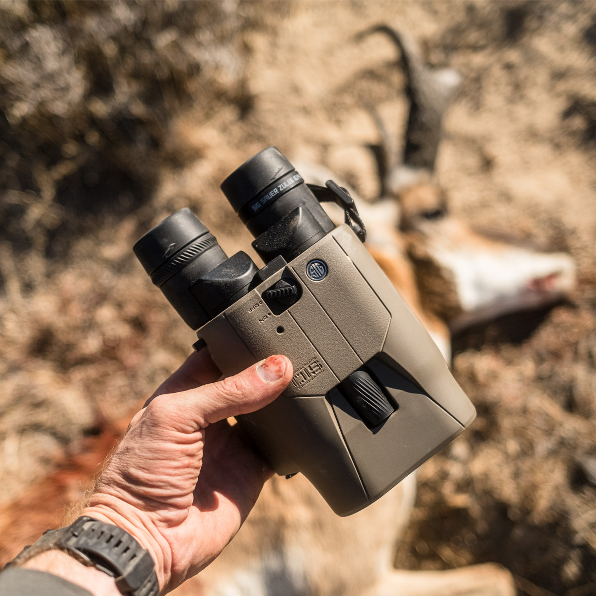 Sig Sauer ZULU6 HDX Pro 16x42mm Image Stabilized Binocular in  by GOHUNT | Sig Sauer - GOHUNT Shop