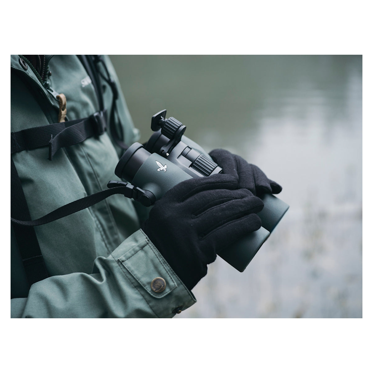 Swarovski 12x42 NL Pure Binocular | Trusted Performance | Shop at