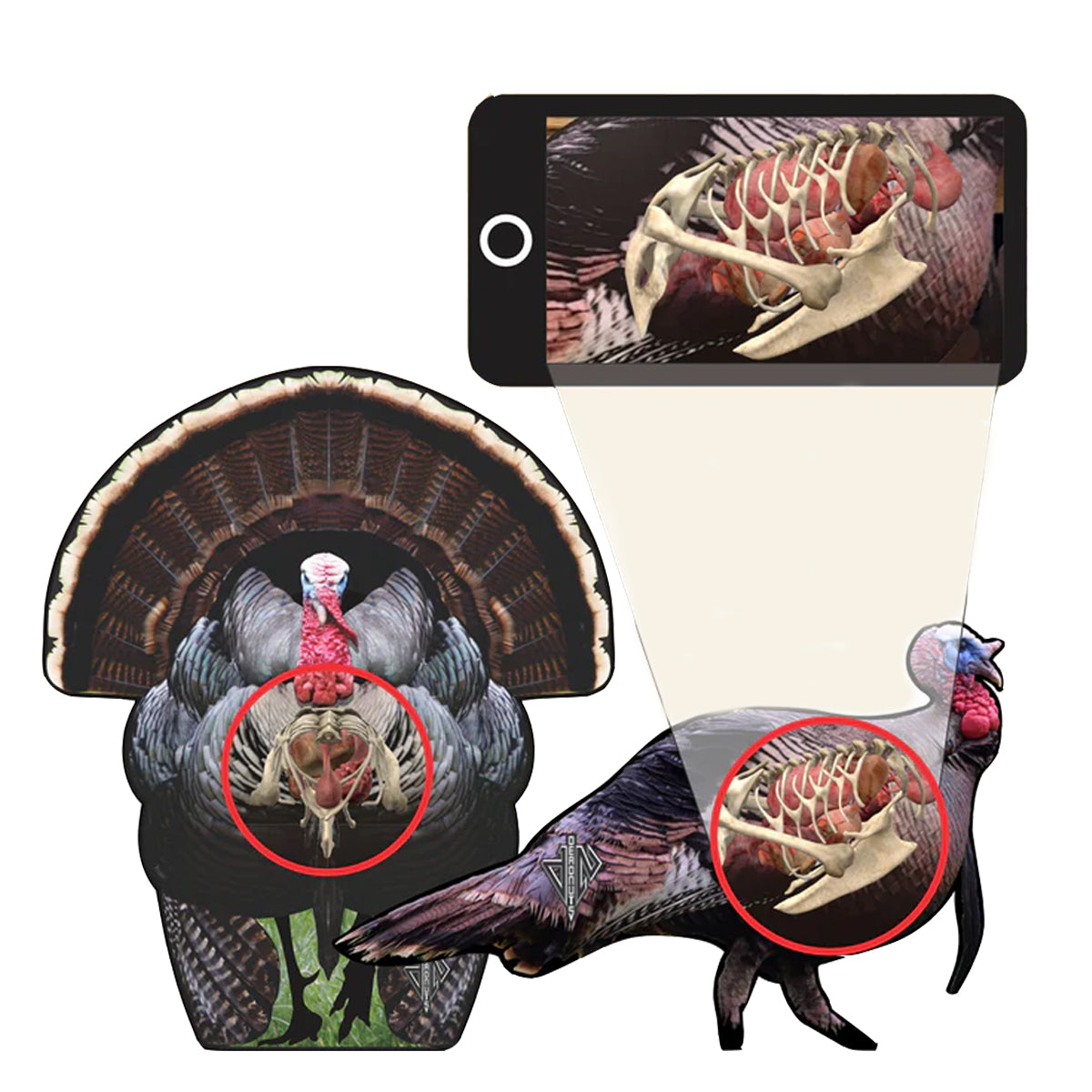 Deadnuts Outdoors 2D Tom Turkey Combo Pack in QuivAR Enabled (iOS Only) by GOHUNT | Deadnuts Outdoors - GOHUNT Shop