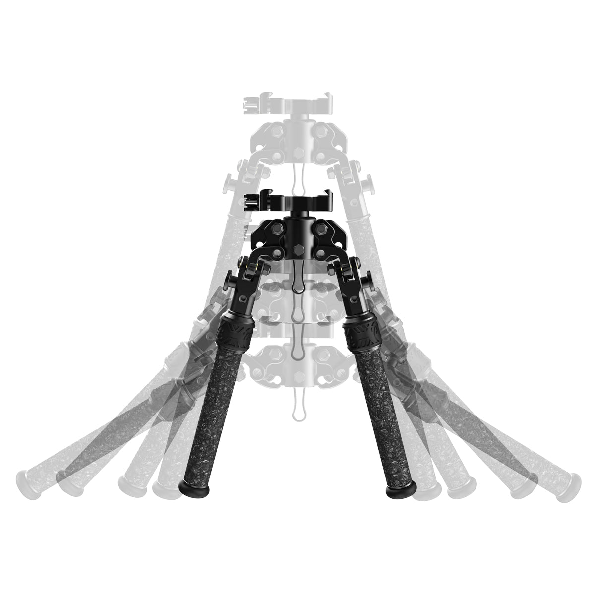 Tricer RP in  by GOHUNT | Tricer - GOHUNT Shop