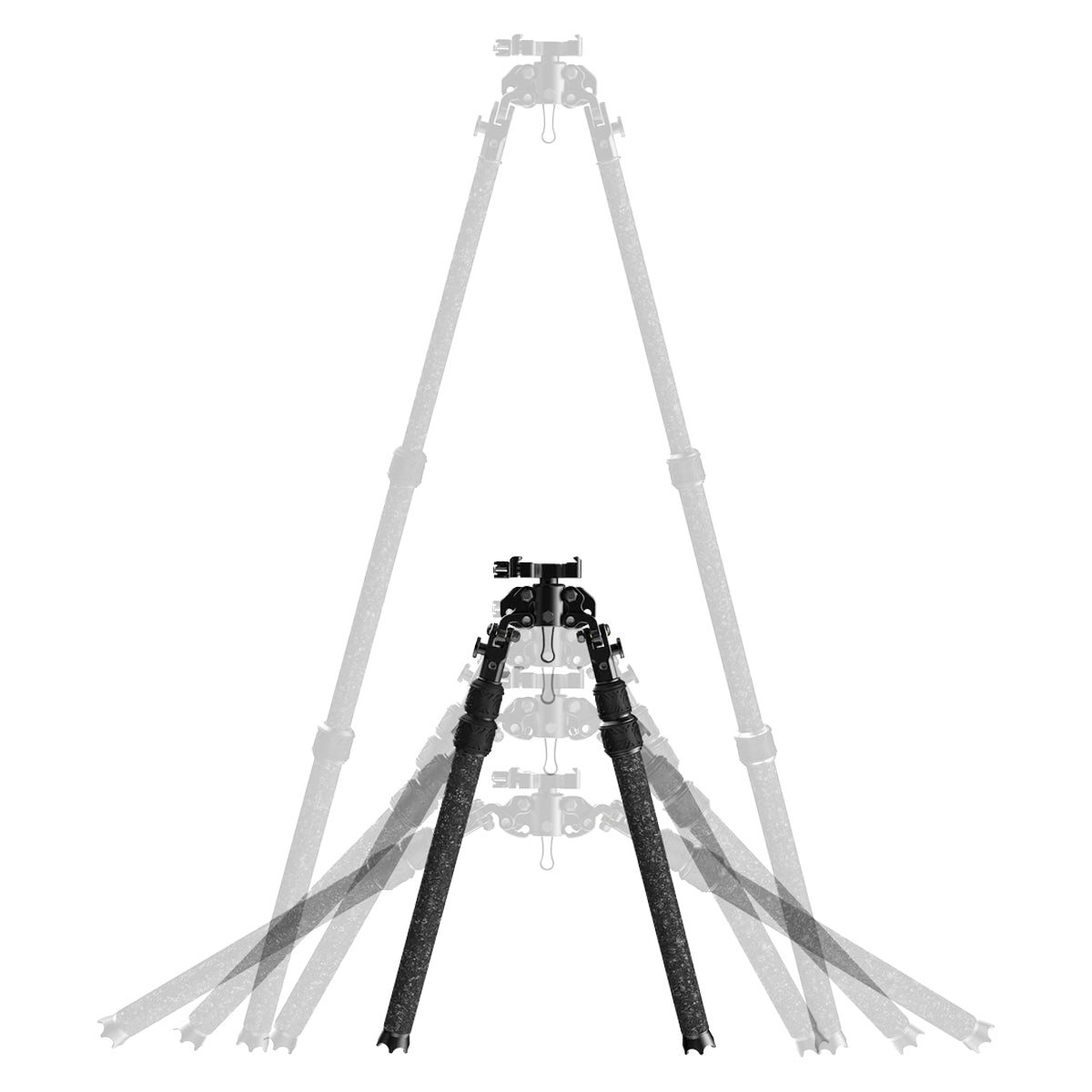 Tricer RP in  by GOHUNT | Tricer - GOHUNT Shop