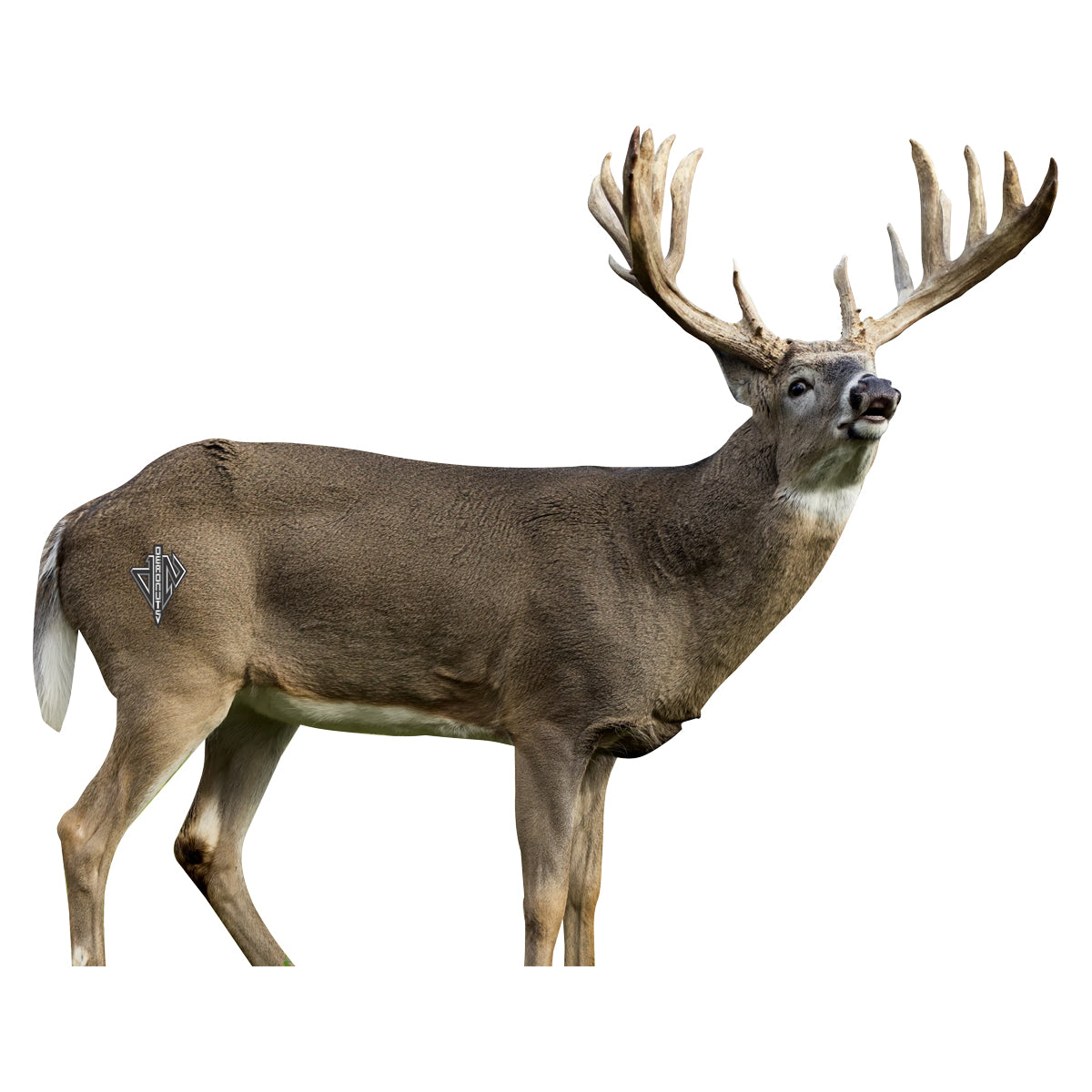 Deadnuts Outdoors 2D Whitetail Broadside Target in Standard Series by GOHUNT | Deadnuts Outdoors - GOHUNT Shop