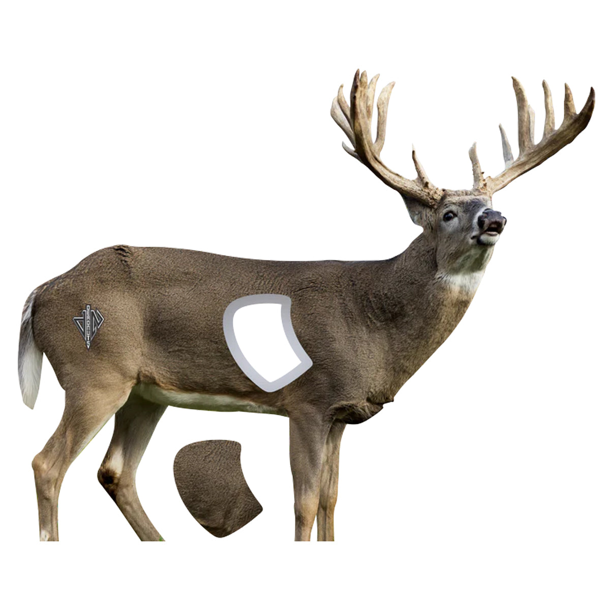 Deadnuts Outdoors 2D Whitetail Broadside Target
