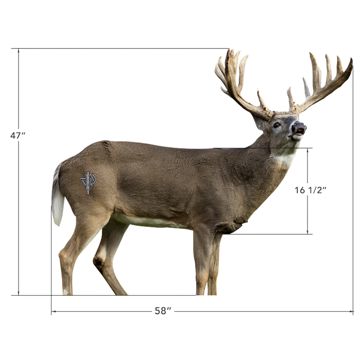 Deadnuts Outdoors 2D Whitetail Broadside Target in  by GOHUNT | Deadnuts Outdoors - GOHUNT Shop