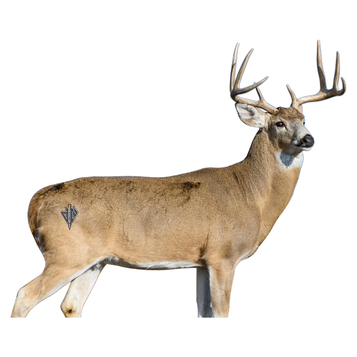 Deadnuts Outdoors 2D Whitetail 