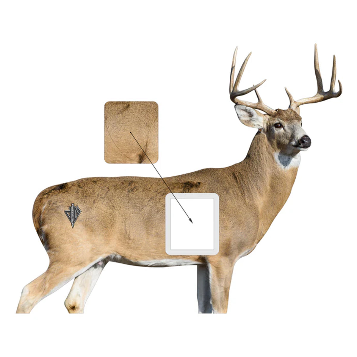 Deadnuts Outdoors 2D Whitetail "Willy" Broadside Target