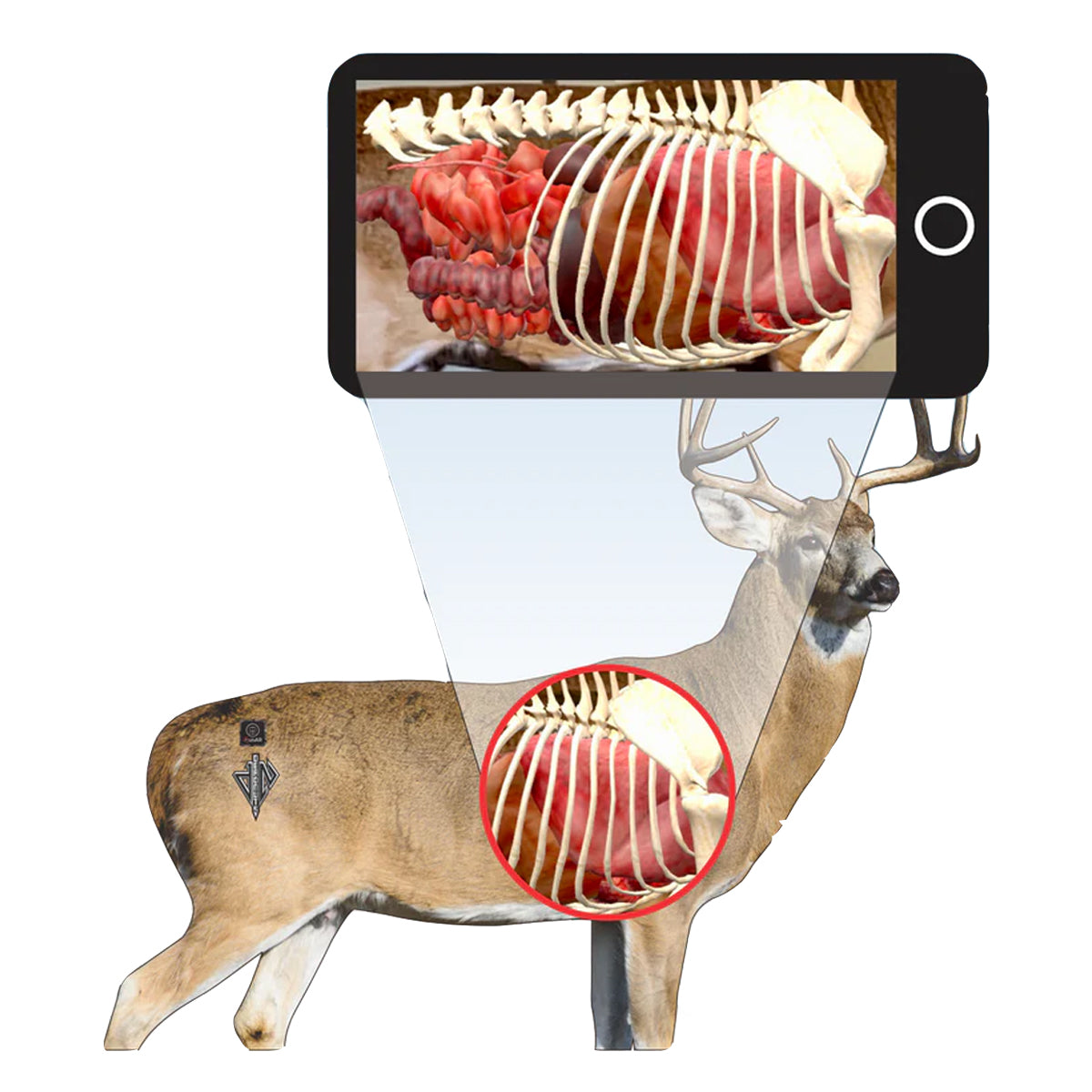 QuivAR Enabled (iOS Only)