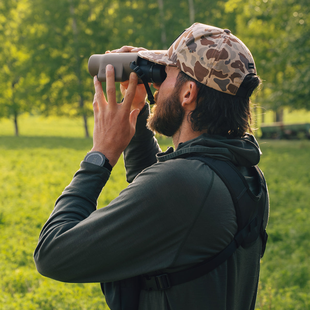 Sig Sauer ZULU6 HDX Pro 14x42mm Image Stabilized Binocular in  by GOHUNT | Sig Sauer - GOHUNT Shop