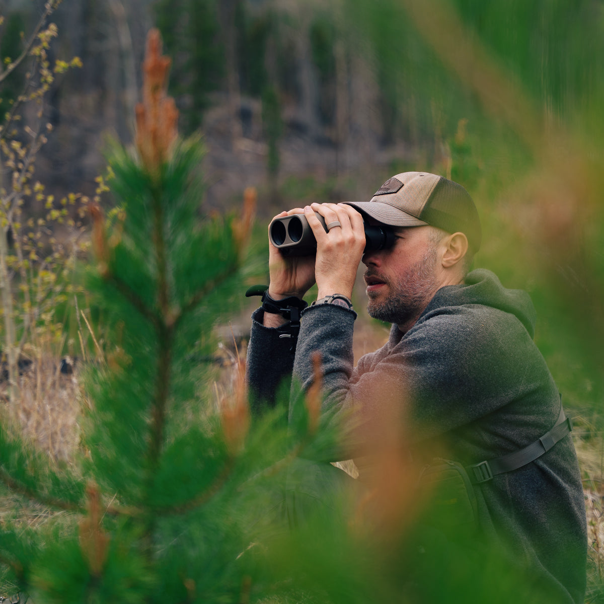 Sig Sauer ZULU6 HDX Pro 14x42mm Image Stabilized Binocular in  by GOHUNT | Sig Sauer - GOHUNT Shop