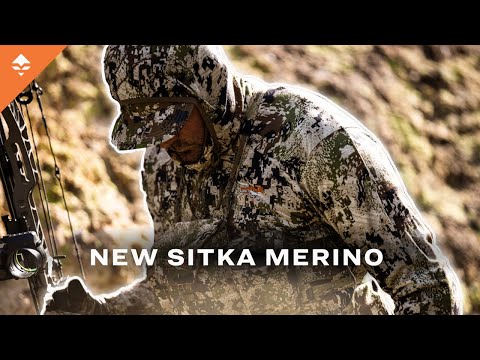 Sitka Core Merino 330 Hoody GOHUNT