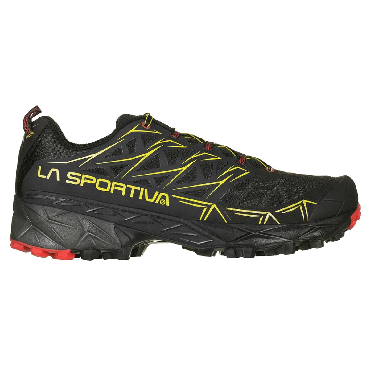 Akyra sportiva discount