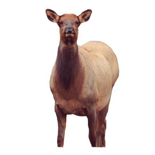 Montana Decoy Fred Eichler Cow Elk Decoy by Montana Decoy Co. | Gear - goHUNT Shop