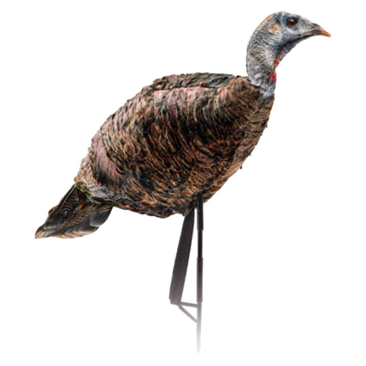 Montana Decoy Miss Purr-Fect XD 3D Hen | Shop at GOHUNT