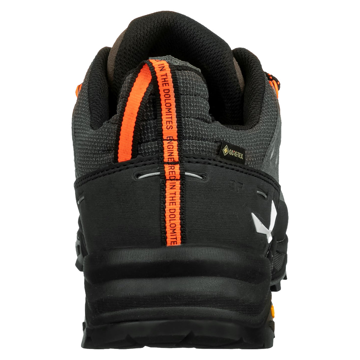 Shop for Salewa Alp Trainer 2 GTX | GOHUNT