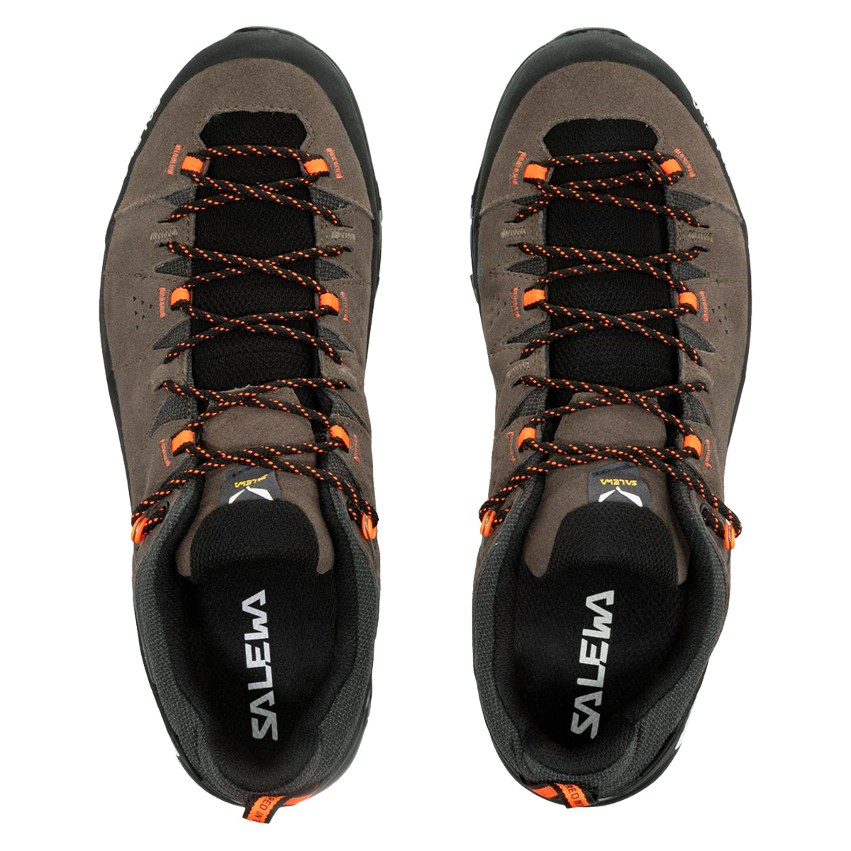 Shop for Salewa Alp Trainer 2 GTX | GOHUNT