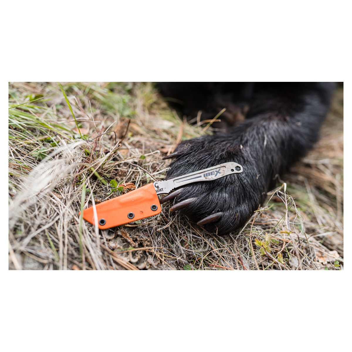 Shop for Goat Knives Ibex Mini Replaceable Blade Knife | GOHUNT