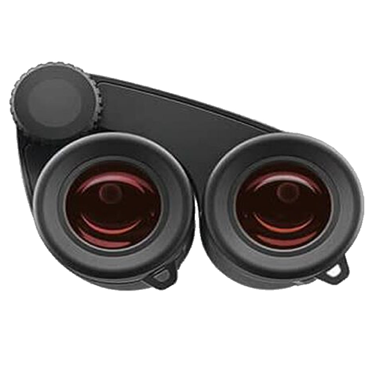 Zeiss Victory Pocket 8x25 Binoculars